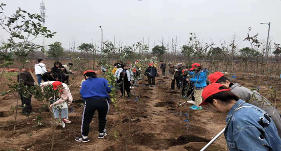 同学们结伴进行植树活动